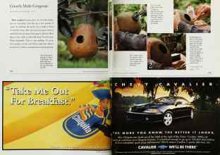 Better Homes & Gardens December 1999 Magazine Article: Page 174