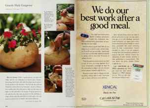 Better Homes & Gardens December 1999 Magazine Article: Page 176