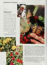 Better Homes & Gardens January 2000 Magazine Article: A California Town's 