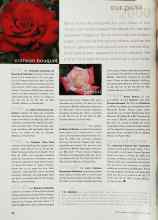 Better Homes & Gardens January 2000 Magazine Article: Our picks 2000