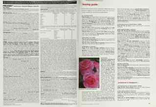 Better Homes & Gardens January 2000 Magazine Article: Page 80