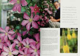 Better Homes & Gardens January 2000 Magazine Article: Page 84