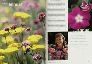 Better Homes & Gardens January 2000 Magazine Article: Page 88