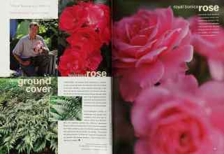 Better Homes & Gardens January 2000 Magazine Article: Page 90