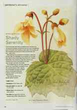 Better Homes & Gardens February 2000 Magazine Article: Shady Serenity