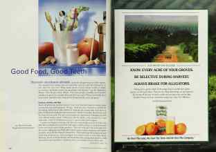 Better Homes & Gardens February 2000 Magazine Article: Page 112