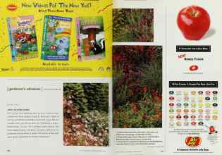 Better Homes & Gardens February 2000 Magazine Article: Joltin' Joe's killer combos