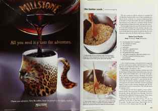 Better Homes & Gardens February 2000 Magazine Article: Page 218