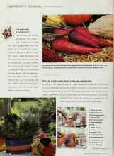 Better Homes & Gardens March 2000 Magazine Article: Got a lot of terra-cotta? Give it a new hue, perhaps blue