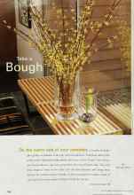 Better Homes & Gardens March 2000 Magazine Article: Take a Bough