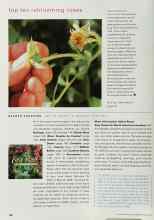 Better Homes & Gardens March 2000 Magazine Article: READER SHOPPING. ..WE'VE GONE TO MARKET FOR YOU