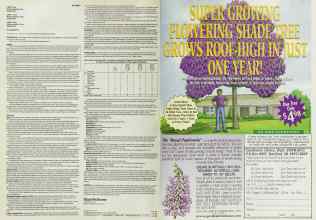 Better Homes & Gardens March 2000 Magazine Article: Page 104