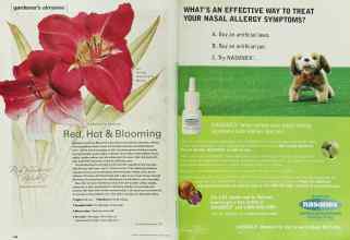 Better Homes & Gardens March 2000 Magazine Article: Page 108