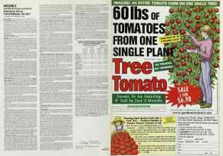 Better Homes & Gardens March 2000 Magazine Article: Page 110