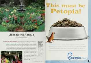 Better Homes & Gardens March 2000 Magazine Article: Page 122