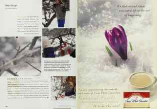 Better Homes & Gardens March 2000 Magazine Article: Page 140