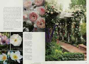 Better Homes & Gardens March 2000 Magazine Article: Page 144