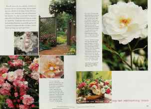 Better Homes & Gardens March 2000 Magazine Article: Page 146