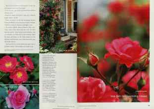 Better Homes & Gardens March 2000 Magazine Article: Page 148