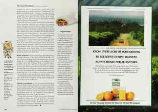 Better Homes & Gardens March 2000 Magazine Article: Page 244