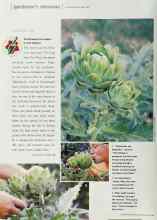 Better Homes & Gardens April 2000 Magazine Article: test garden tips