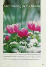 Better Homes & Gardens April 2000 Magazine Article: Shimmering in the Shade