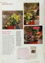 Better Homes & Gardens April 2000 Magazine Article: FOR MORE INFORMATION