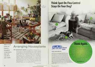 Better Homes & Gardens April 2000 Magazine Article: Page 86