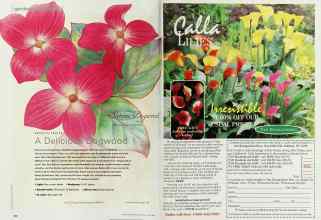 Better Homes & Gardens April 2000 Magazine Article: Page 142