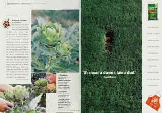 Better Homes & Gardens April 2000 Magazine Article: Page 144