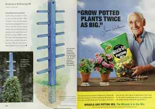 Better Homes & Gardens April 2000 Magazine Article: Page 160