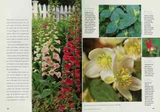 Better Homes & Gardens April 2000 Magazine Article: Page 164