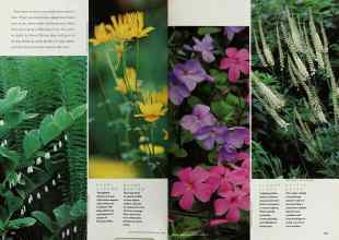 Better Homes & Gardens April 2000 Magazine Article: Page 166