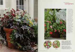 Better Homes & Gardens April 2000 Magazine Article: Page 172