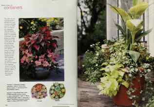 Better Homes & Gardens April 2000 Magazine Article: Page 174