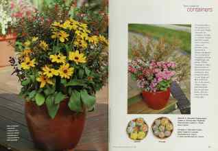 Better Homes & Gardens April 2000 Magazine Article: Page 176