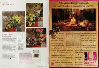 Better Homes & Gardens April 2000 Magazine Article: Page 178