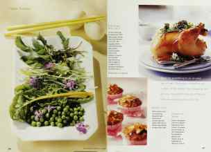 Better Homes & Gardens April 2000 Magazine Article: Page 206