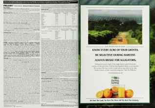 Better Homes & Gardens April 2000 Magazine Article: Page 252