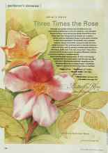 Better Homes & Gardens May 2000 Magazine Article: Three Times the Rose