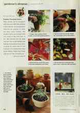 Better Homes & Gardens May 2000 Magazine Article: LOOK, MA, NO DIRT