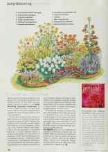 Better Homes & Gardens May 2000 Magazine Article: Long-blooming perennials