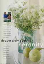 Better Homes & Gardens May 2000 Magazine Article: Desperately seeking serenity