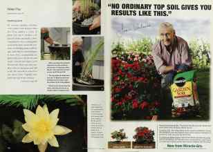 Better Homes & Gardens May 2000 Magazine Article: Page 162