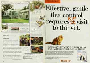 Better Homes & Gardens May 2000 Magazine Article: Page 166