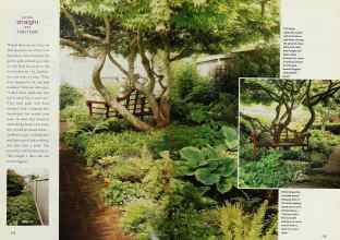 Better Homes & Gardens May 2000 Magazine Article: Page 174