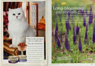 Better Homes & Gardens May 2000 Magazine Article: Page 180