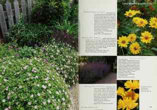 Better Homes & Gardens May 2000 Magazine Article: Page 182