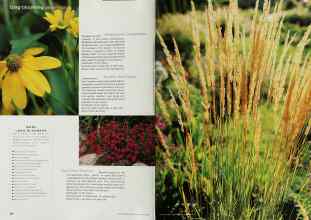 Better Homes & Gardens May 2000 Magazine Article: Page 184