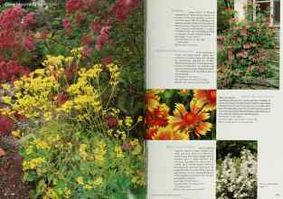 Better Homes & Gardens May 2000 Magazine Article: Page 186